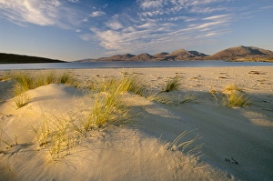 Marram grass and beach near Luskentyre