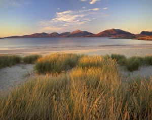 Marram grass and beach near Luskentyre