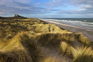 Bamburgh Prints: Marram grass, beach and surf with Bamburgh Castle in distance