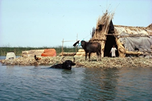 Images Dated 2nd August 2008: Marsh Arab village
