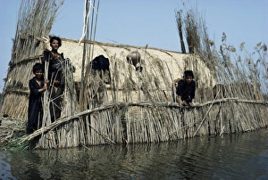 Marsh Arab Prints: Marsh Arabs near Qurna