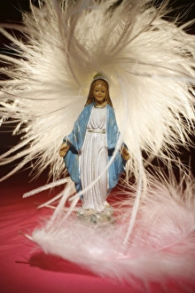 Images Dated 28th September 2007: Mary, Paris, France, Europe