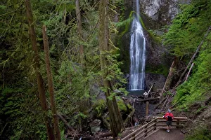 Images Dated 5th September 2008: Marymere Falls, Olympic National Park, UNESCO World Heritage Site, Washington