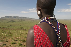 Images Dated 1st October 2008: Masai man, Masai Mara, Kenya, East Africa, Africa