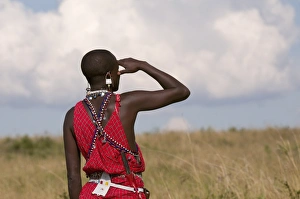 Images Dated 1st October 2008: Masai man, Masai Mara, Kenya, East Africa, Africa
