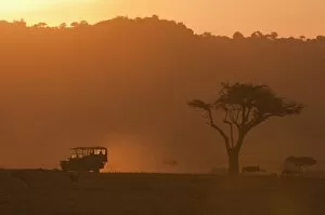 Images Dated 7th October 2009: Masai Mara, Kenya, East Africa, Africa