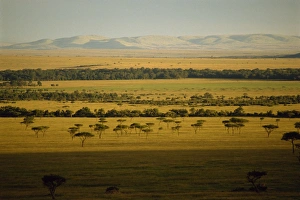 Masai Mara National Reserve