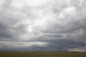 National Reserve Prints: Masai Mara National Reserve, Kenya, East Africa, Africa