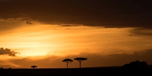 Typically African Prints: Masai Mara at sunset, Kenya, East Africa, Africa