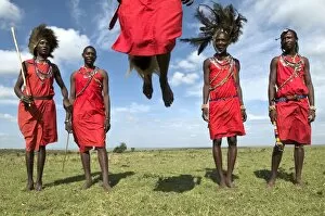 Kenya Gallery: Masai performing warrior dance, Masai Mara, Kenya, East Africa, Africa