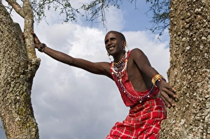 Tribal People Prints: Masai searching for wildlife, Masai Mara, Kenya, East Africa, Africa