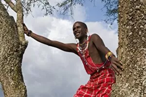 Masai searching for wildlife, Masai Mara, Kenya, East Africa, Africa