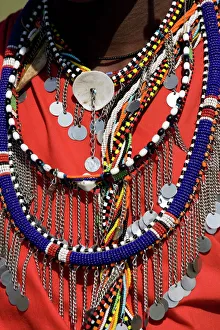 Images Dated 4th October 2008: Masai warrior, Masai Mara National Reserve, Kenya, East Africa, Africa