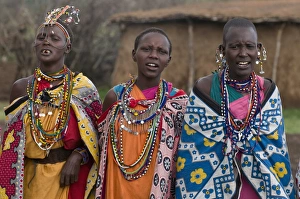 20 25 Years Prints: Masai women singing, Masai Mara, Kenya, East Africa, Africa