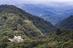 Pichincha Province Prints: Mashpi Lodge, Choco Cloud Forest, a rainforest in the Pichincha Province of Ecuador