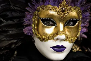 Feathers Prints: Mask at Venice Carnival, Venice, Veneto, Italy, Europe
