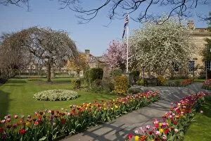 Images Dated 21st April 2011: Masses of colourful spring tulips in the Bath Gardens, Bakewell, Derbyshire