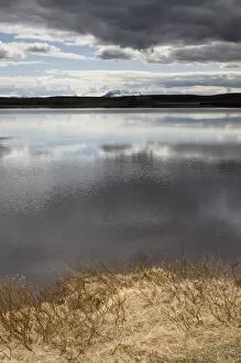 Masvatn lake, Myvatn area, Iceland, Polar Regions