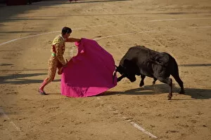 French Culture Gallery: Matador and bull during a bullfight in Arles, Bouches du Rhone, Provence, France, Europe