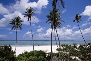 Tanzanian Prints: Matemwe beach, Zanzibar, Tanzania, East Africa, Africa