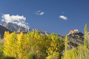 Matho gompa (monastery) and Stok-Kangri massif