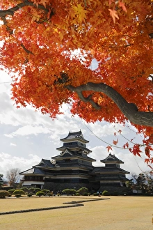 Matsumoto Prints: Matsumoto-jo (Wooden Castle) in autumn, Matsumoto, Central Honshu, Japan, Asia