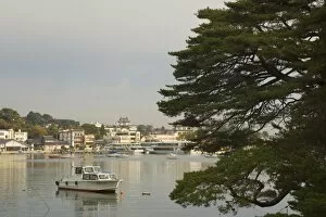 Images Dated 1st November 2007: Matsushima Bay
