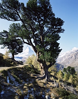 The Matterhorn