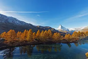 Autumnal Scene Prints: The Matterhorn, 4478m, and Grindjisee mountain lake in autumn, Zermatt, Valais, Swiss Alps