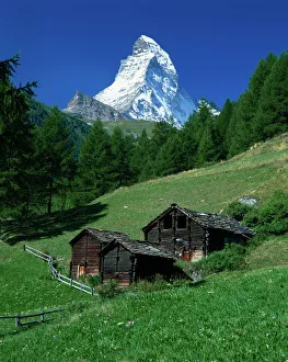 Chalet Prints: The Matterhorn towering above green pastures