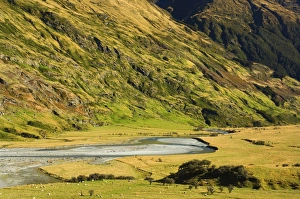 Matukituki Valley