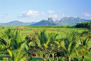 Images Dated 5th August 2008: Mauritius, scenic in the North West region of the island