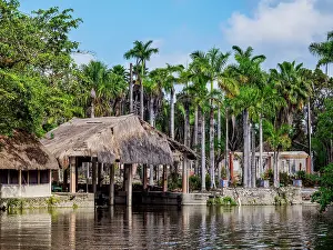 Roofs Prints: The Mayan Garden seen from the New River, Tower Hill, Orange Walk District, Belize