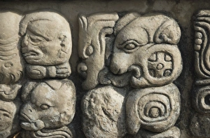 Honduras Prints: Mayan glyphs in Temple 22, Copan Archaeological Park, UNESCO World Heritage Site