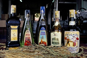 Mayan herbs