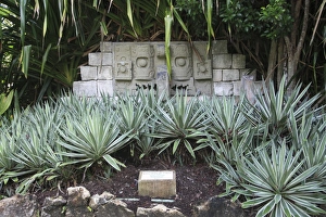 Over Grown Prints: Mayan sculpture, Chankanaab National Park