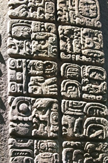 Mayan stela at Quirigua Archaeological Park, UNESCO World Heritage SIte, Guatemala, Central America
