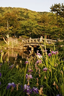 Images Dated 19th May 2009: Mayurama park garden, Kyoto, Japan, Asia
