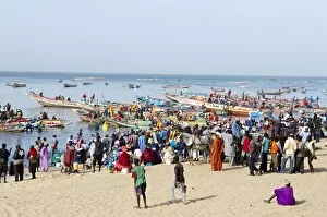 Images Dated 16th January 2008: Mbour fishing harbour on the Petite Cote (Small Coast), Senegal, West Africa, Africa