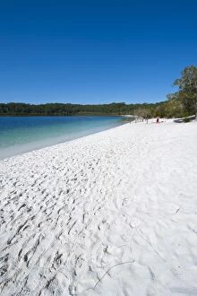 Images Dated 13th September 2008: McKenzie Lake, Fraser Island, UNESCO World Heritage Site, Queensland, Australia, Pacific