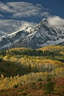Aspens Prints: Mears Peak with snow and yellow aspens in the fall