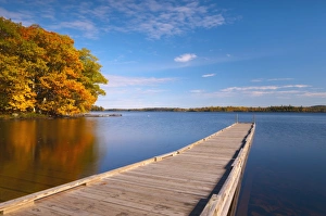Red Leaf Prints: Meddybemps Lake, Maine, New England, United States of America, North America