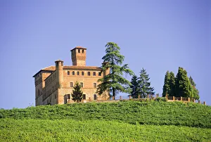 Vineyard Prints: Medieval castle of Grinzane Cavour in vineyards