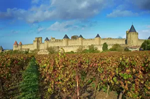 Fortified Prints: Medieval city of Carcassonne, UNESCO World Heritage Site, Aude, Languedoc-Roussillon