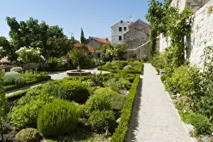 Images Dated 17th August 2010: Medieval mediterranean garden of St. Lawrence Monastery, Sibenik, Dalmatia region, Croatia, Europe