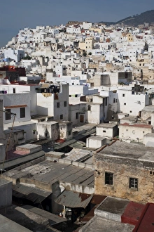 Images Dated 15th November 2009: Medina, Tetouan, UNESCO World Heritage Site, Morocco, North Africa, Africa