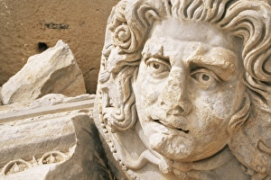 Tripolitania Prints: Medusa head