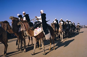 Head Piece Prints: Meharistes (camel riders) Tataouine Oasis