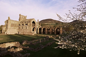 Melrose Abbey