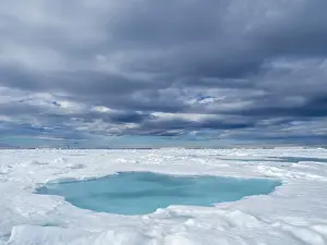 Melting Prints: A melt water pool on first year sea ice near Snow Hill Island